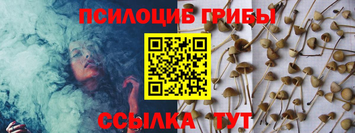 купить  цена  Галлюциногенные грибы Psilocybe  Вход с VPN  Отрадный 